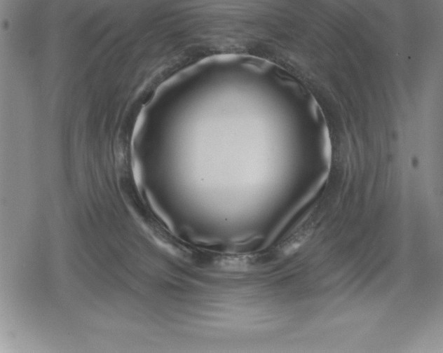 X0000080200084200612221416