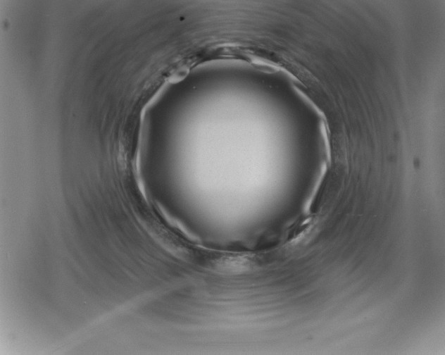 X0000080200086200612221416