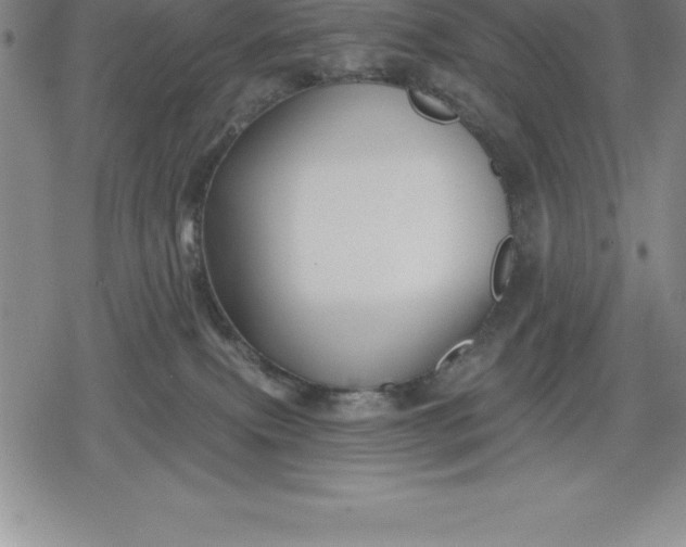 X0000080200087200612221416