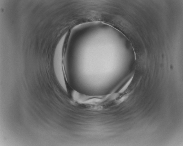 X0000080200088200612221416