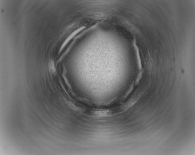 X0000080200089200612221416