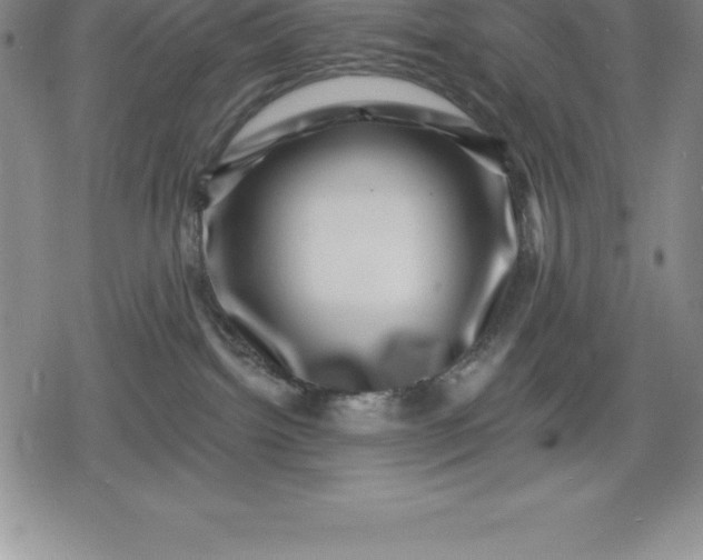 X0000080200092200612221416