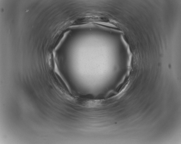 X0000080200094200612221416