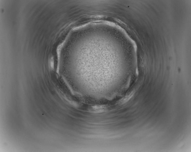 X0000080200095200612221416