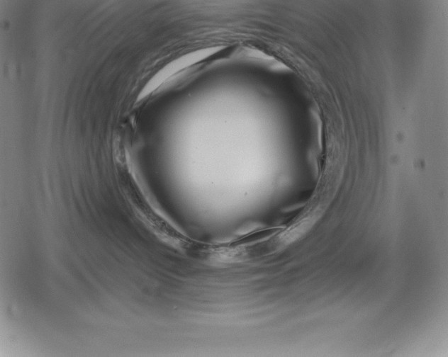 X0000080200096200612221416