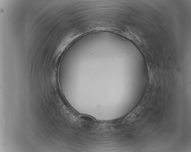 X0000080200098200612221415