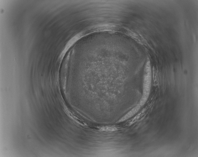 X0000080200099200612221415