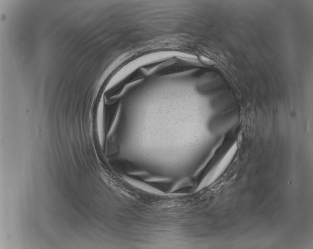 X0000080200100200612221415