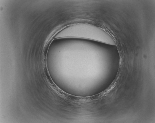 X0000080200101200612221415