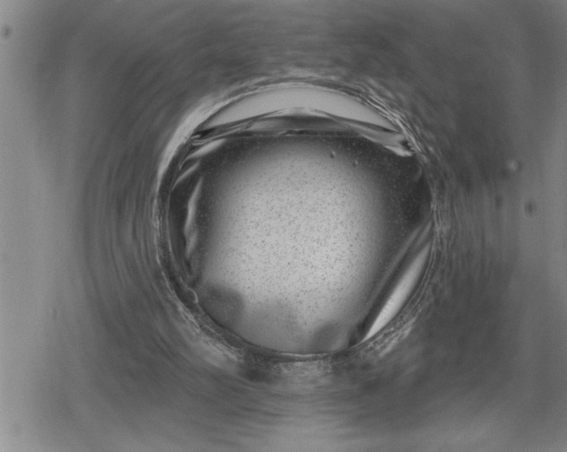 X0000080200102200612221415