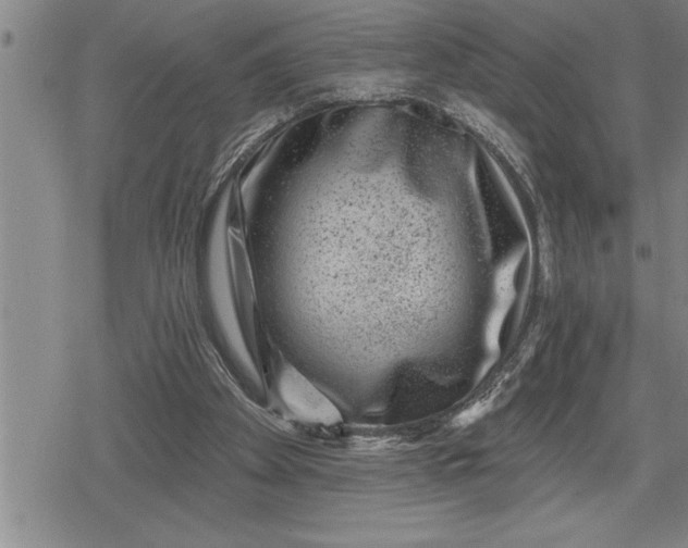 X0000080200105200612221415