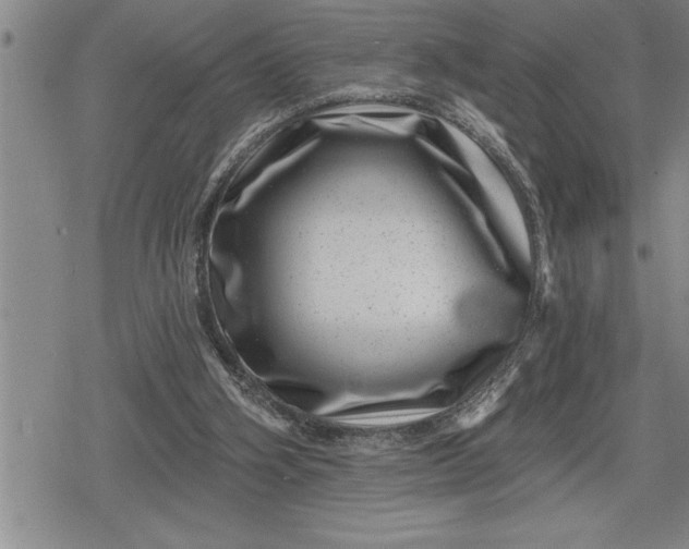 X0000080200106200612221415