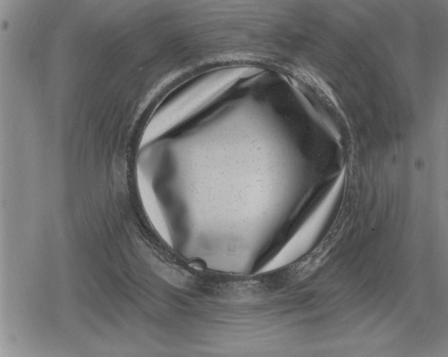 X0000080200108200612221415