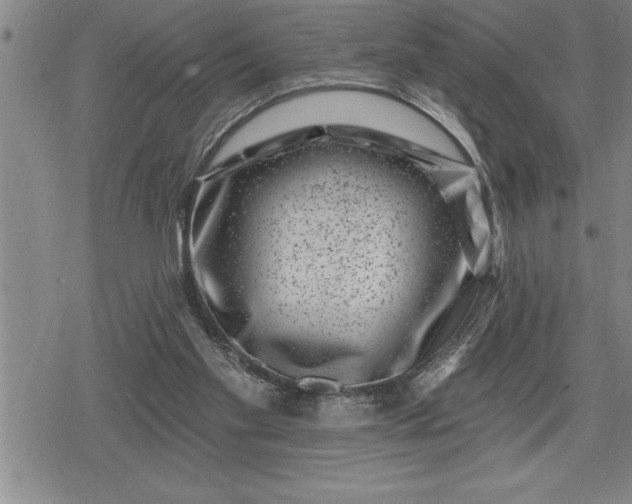 X0000080200109200612221415