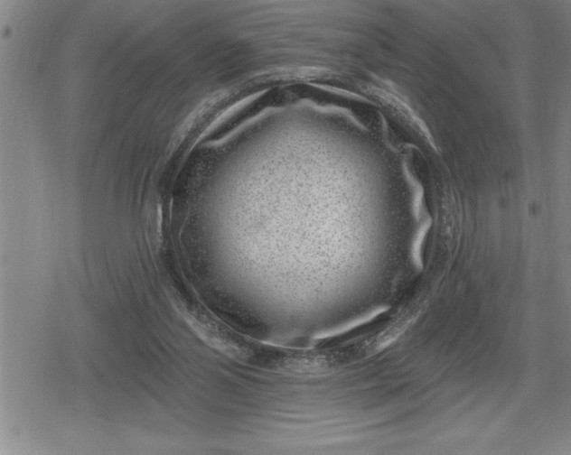 X0000080200110200612221415