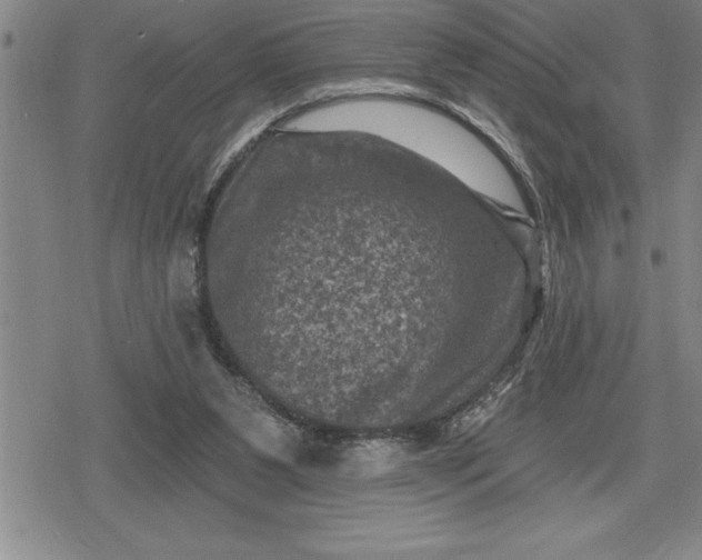 X0000080200111200612221415