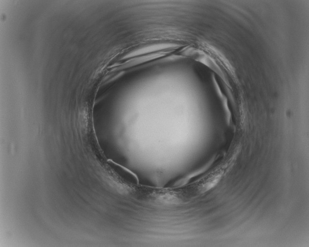 X0000080200113200612221415