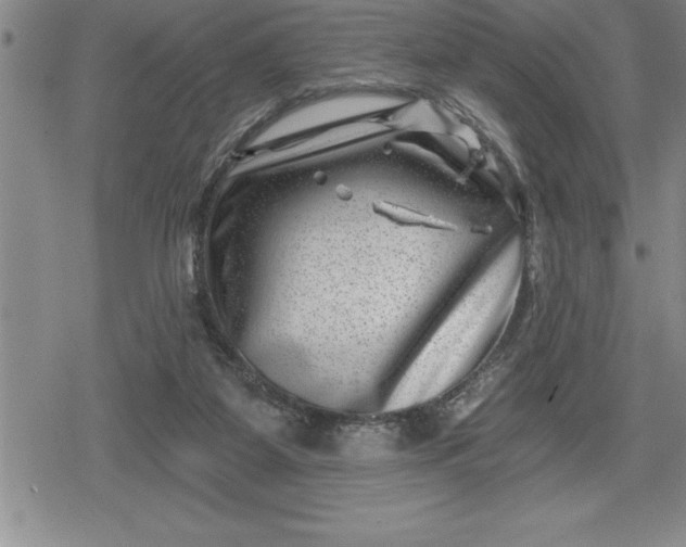 X0000080200115200612221415