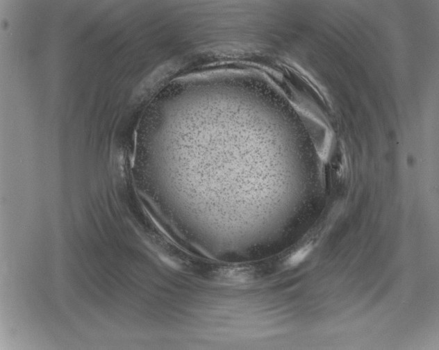 X0000080200117200612221415