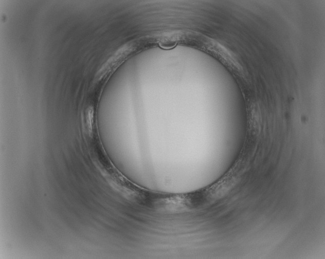 X0000080200118200612221415