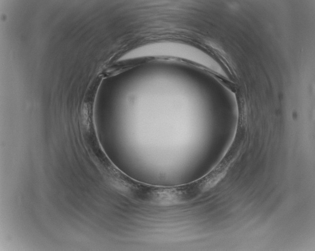 X0000080200121200612221415