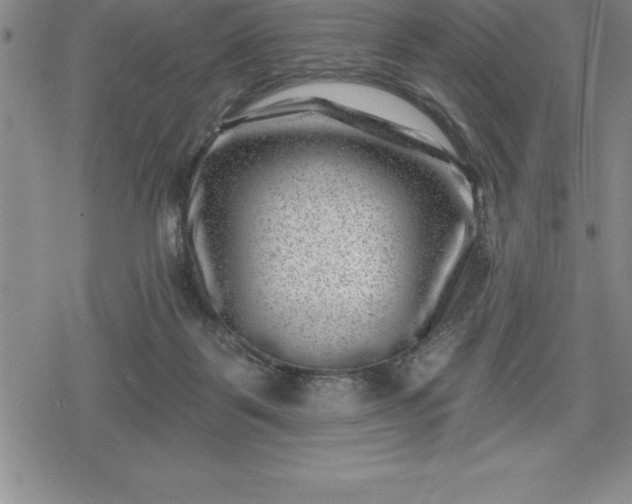 X0000080200123200612221415