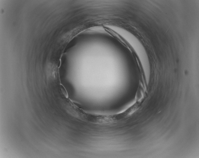 X0000080200125200612221415