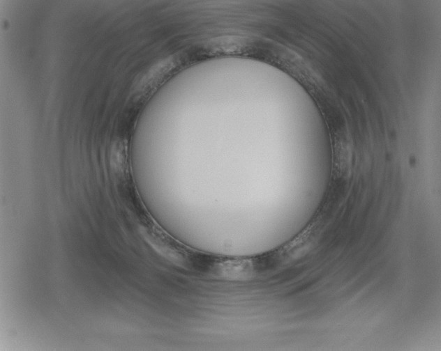 X0000080200126200612221415