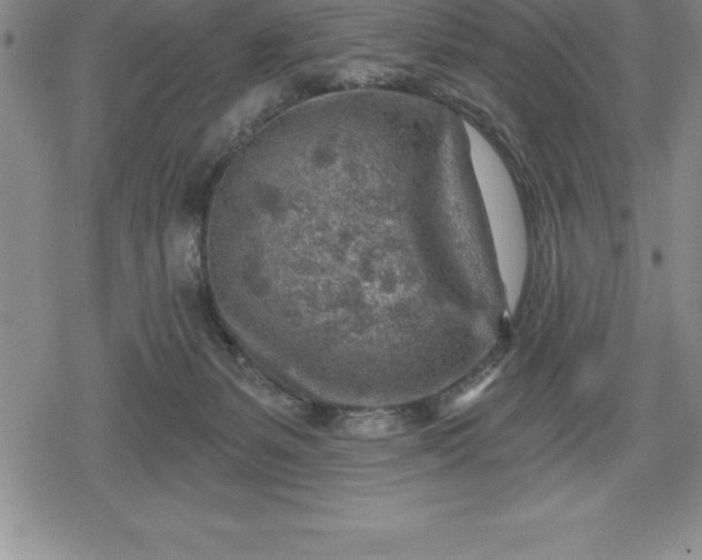 X0000080200127200612221415