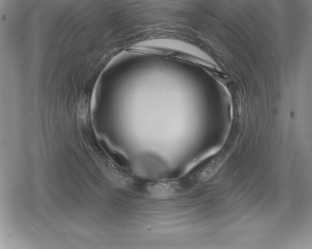 X0000080200129200612221415