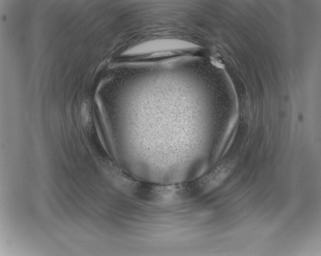 X0000080200131200612221415