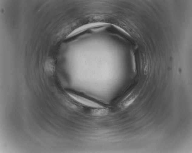 X0000080200135200612221415