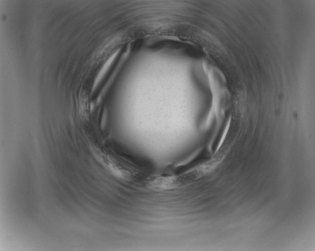 X0000080200138200612221415