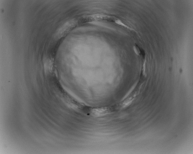 X0000080200139200612221415