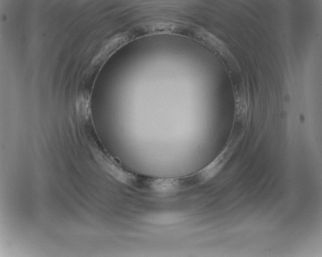 X0000080200142200612221415