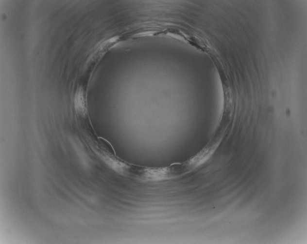 X0000080200143200612221415