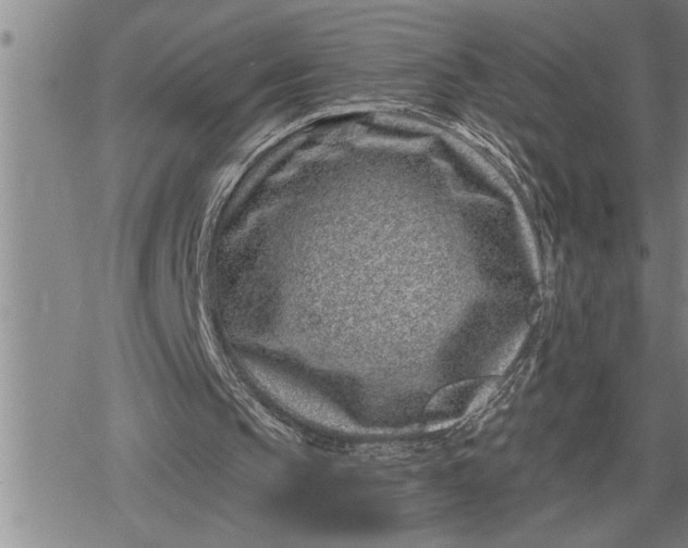 X0000080200145200612221414