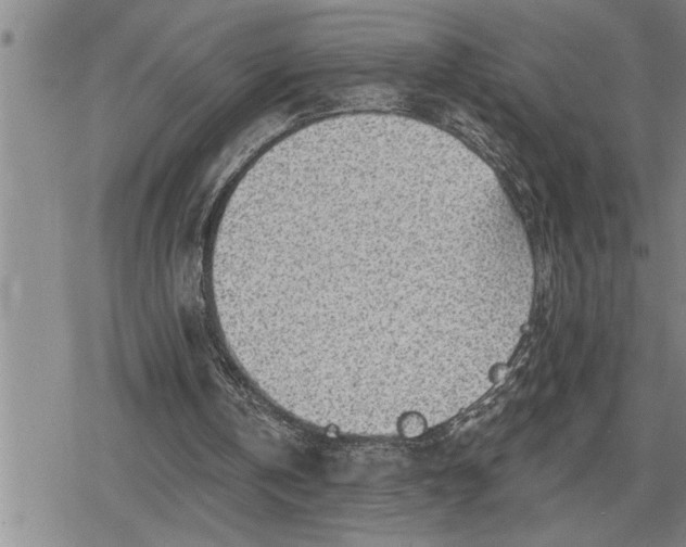 X0000080200146200612221414