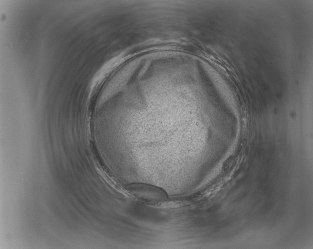 X0000080200149200612221414