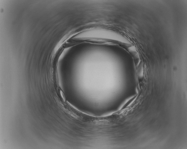 X0000080200150200612221414