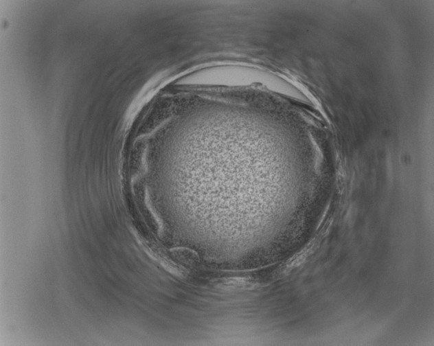 X0000080200151200612221414