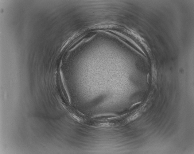 X0000080200153200612221414