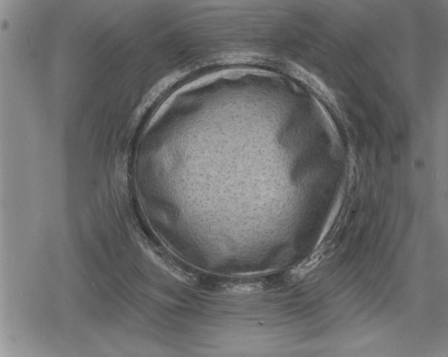 X0000080200155200612221414