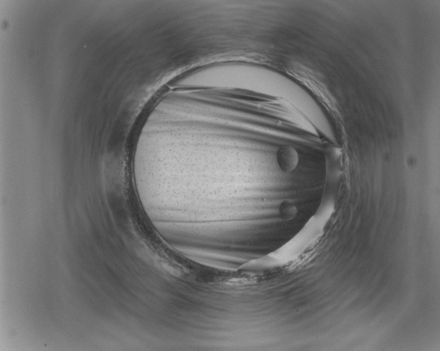 X0000080200156200612221414