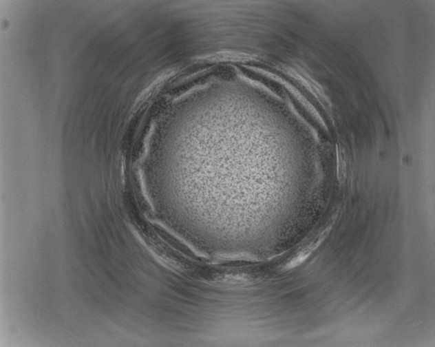 X0000080200157200612221414