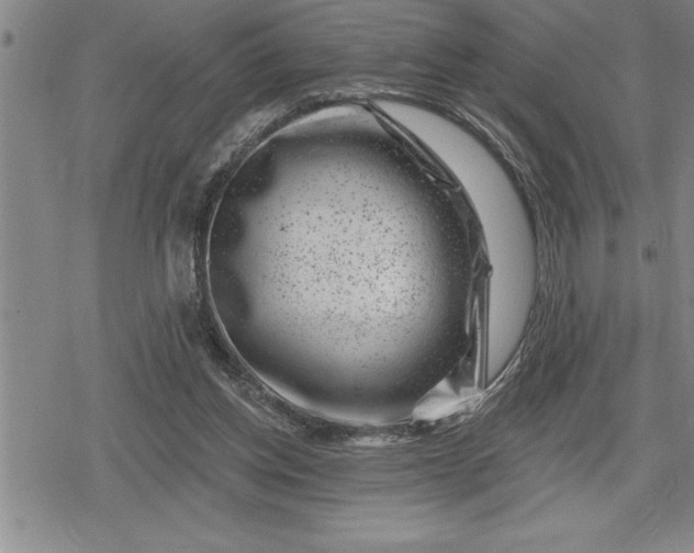 X0000080200158200612221414