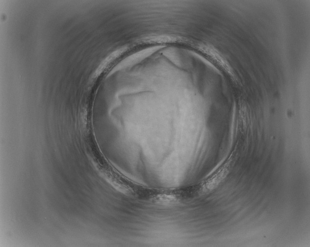 X0000080200159200612221414