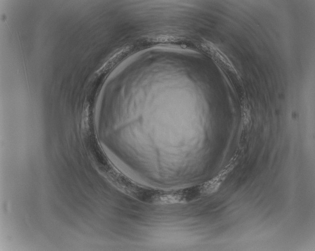 X0000080200163200612221414