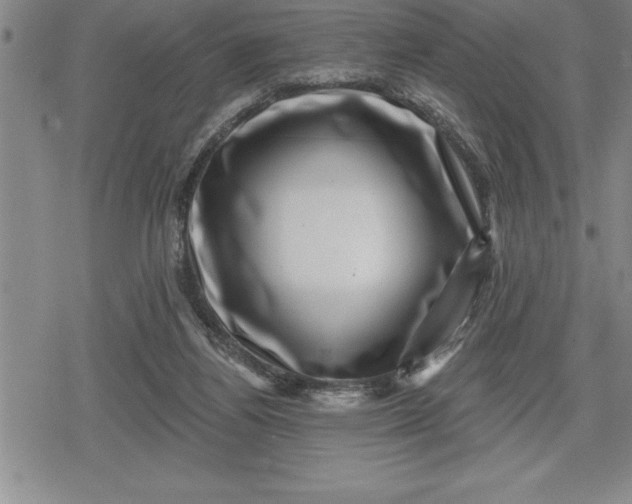 X0000080200164200612221414