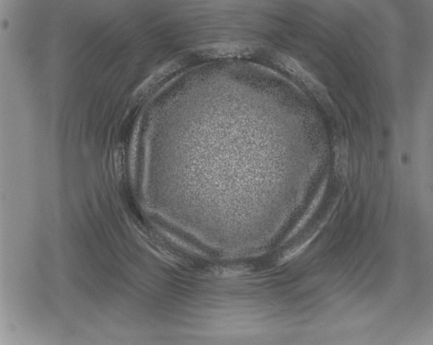 X0000080200165200612221414